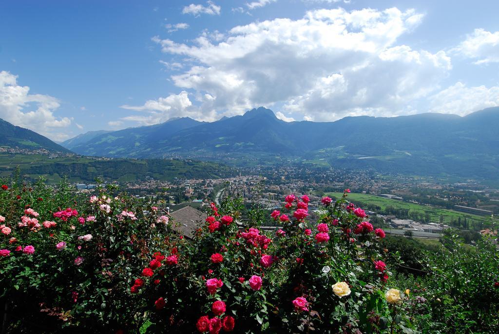 Hotel Gasthof Waldschenke Marlengo Quarto foto